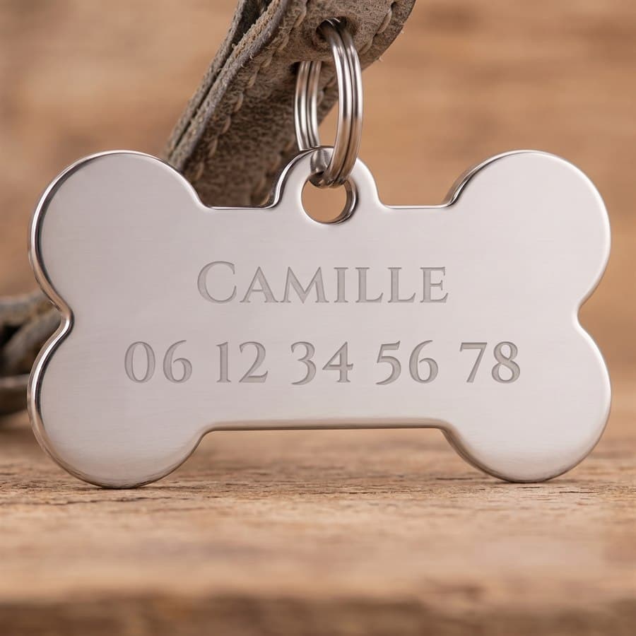 Silver bone medallion engraved with the name “Camille” and a phone number, on a leather collar